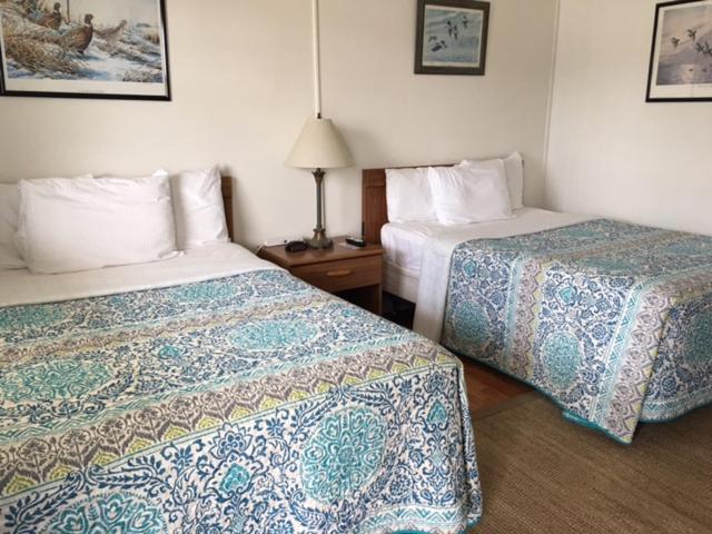 Wachapreague Inn - Motel Rooms Buitenkant foto